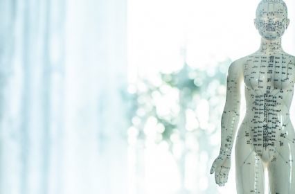 A mannequin for acupuncture