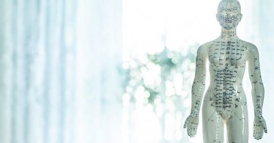 A mannequin for acupuncture
