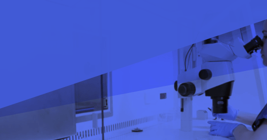 A lab technician looking through a microscope