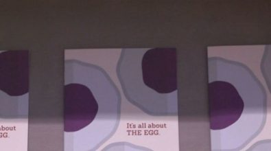 It's all about the egg pamphlet