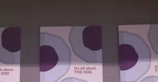 It's all about the egg pamphlet